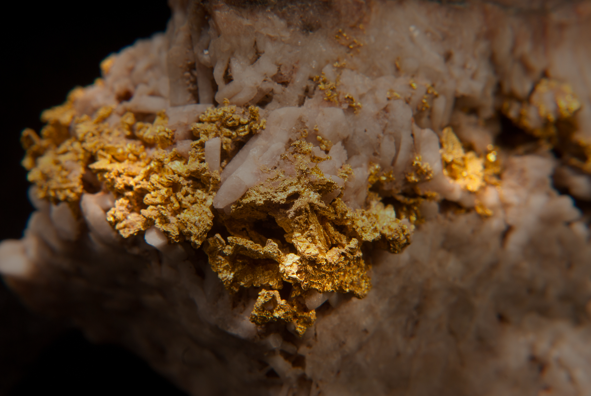 Gold mining and environmental law